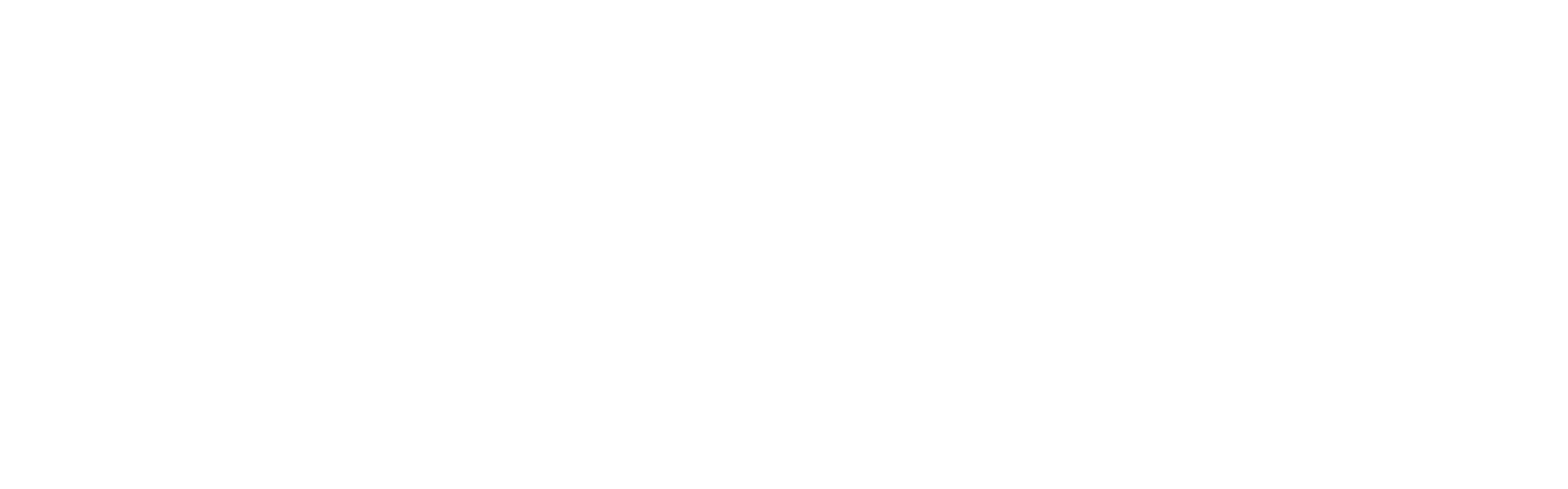 IPS Logo 2024 White Footer